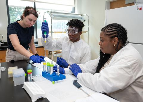 Students working in lab at Georgia Tech's Summer Institute Students working in lab at Georgia Tech's Summer Institute
