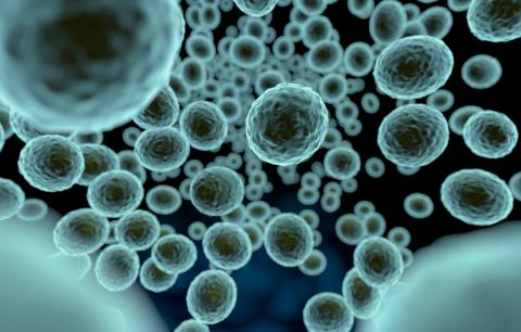 Several space missions are searching for extraterrestrial life, which could come in the form of microbes