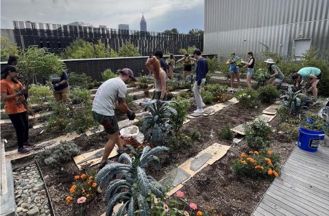 roofgarden2.jpg