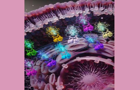 Cell activity Cell activity