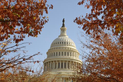 U.S.-Capital-Bldg-in-the-Fall.jpg