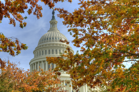 Capital Building in the Fall.png